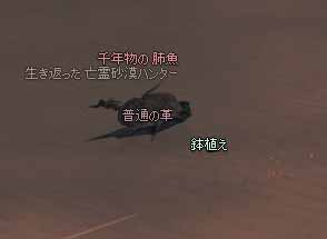 鉢植え
