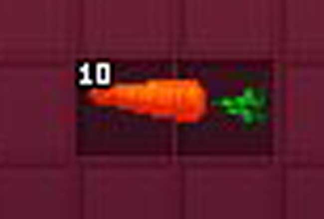 10本のニンジン