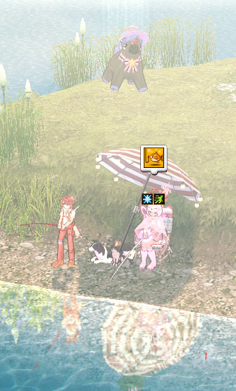 ペットw