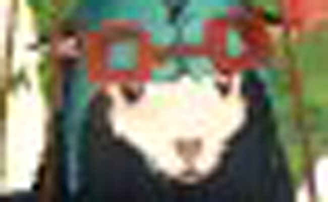 パンｗ