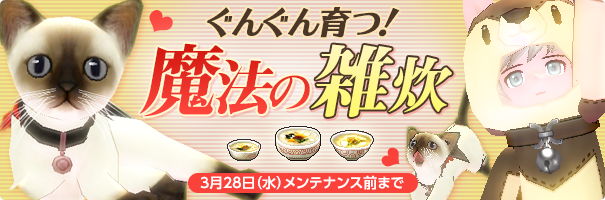 news_180307_zousui_hf6