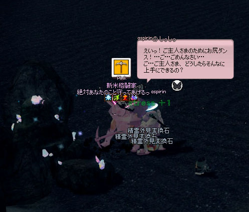 精霊外見変換石