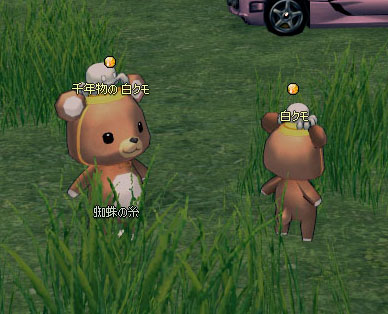 よほど金を生み出す白クモ