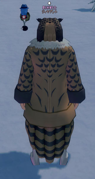 ワシミミズク…