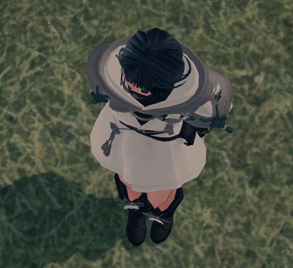 首輪w