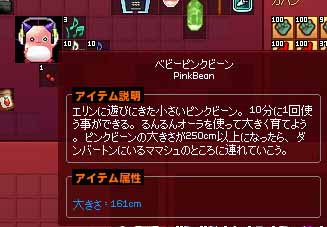 ベビーピンクビーン