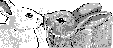 chat_20160623_152624_aspirin
