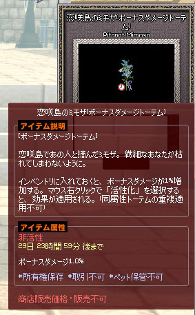 恋咲島のミモザ