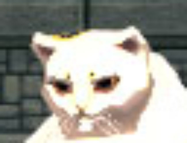 オミケサマw