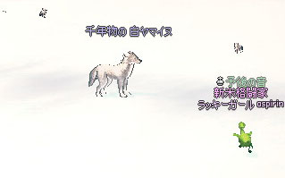 千年物の 白ヤマイヌ