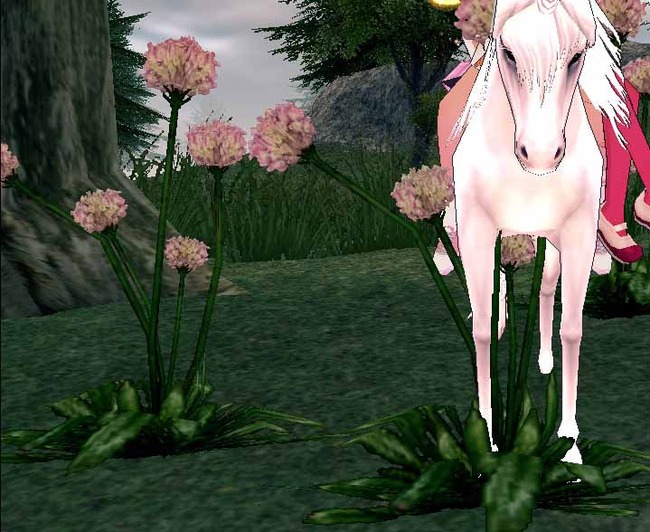 おおおおおおおきな花