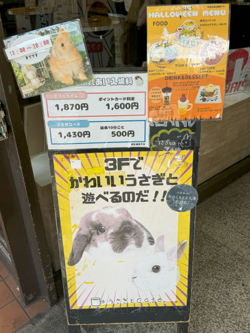行ってみたいw