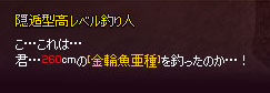 色付きw
