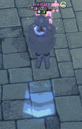 以前の風船はカラフルなだけでなく装備もできたんだよね マナビノギ