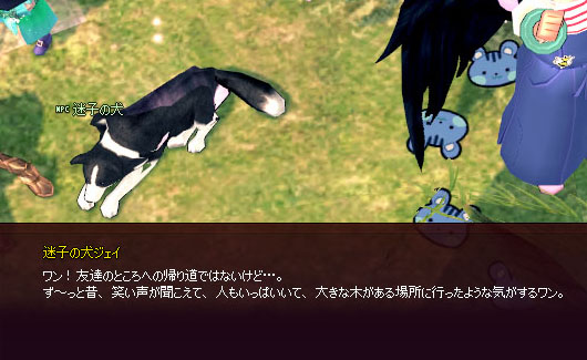 ティルコやろなぁ