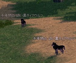 千年物の 幼い黒ダイアウルフ
