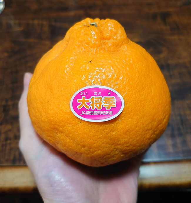 yuzu
