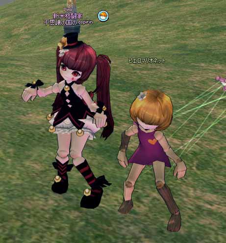 中級ピエロミニチュア