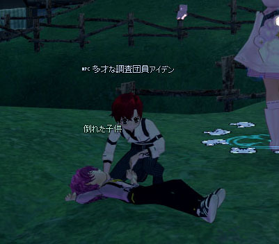 多彩な調査団員アイデン