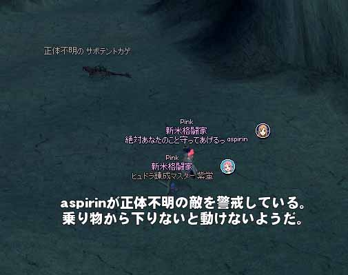 aspirinが正体不明の敵を警戒している。