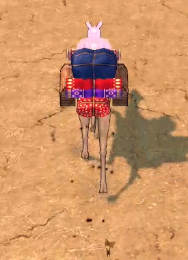 ラクダ砂漠