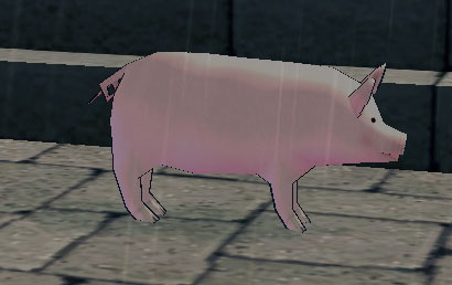 前向き豚
