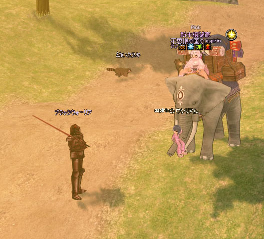 ブッラクウォーリア