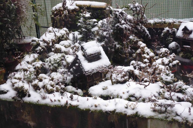 おおお雪