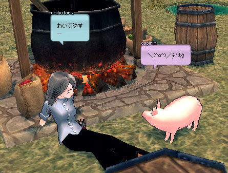 ＼(^o^)／ﾃﾞｷﾀ