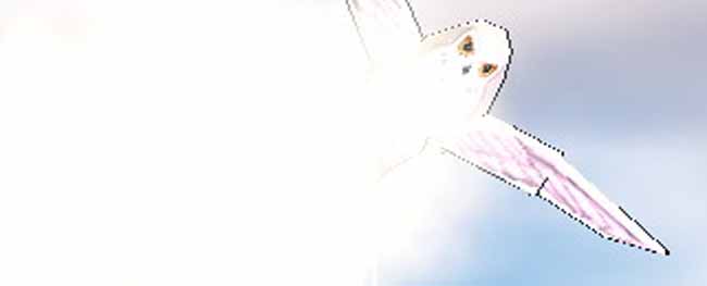 ((＾ω＾≡＾ω＜ｷﾞｬｱｱｱｱｱｱｱ