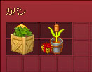 苗木ｗ