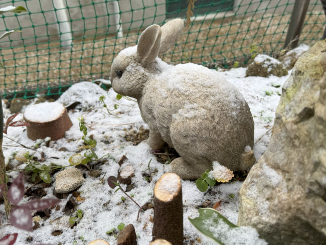 ふんばるりんとこ