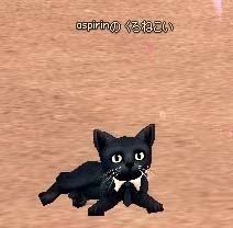 くろねこいｗ