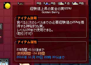 経験値上昇の黄金の実
