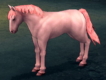 ピンク野生馬