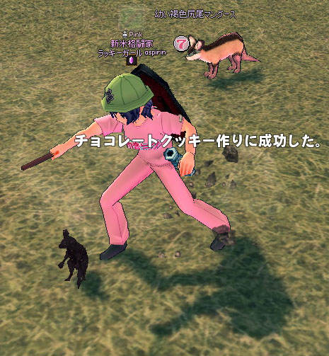 チョコレートクッキー作りに成功した。