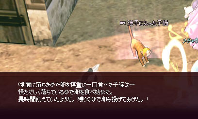 だから投げるなよw