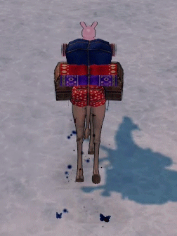 ラクダ雪原20