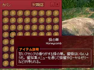 蜂の巣