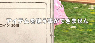 アイテムを使う事ができません