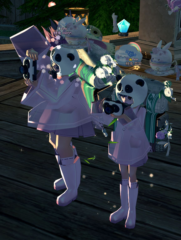 一眼カメラｗ