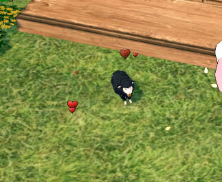 あら