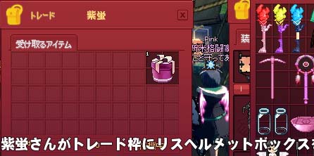 リスヘルメットボックス