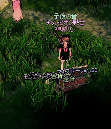 保存の魔法の粉