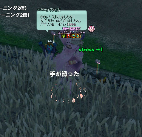 手持ちなし