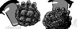 chat_20260606_190610_aspirin