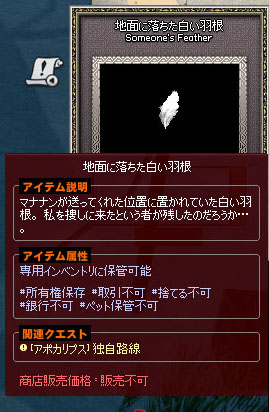地面に落ちた白い羽根