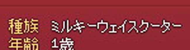 スクーター…