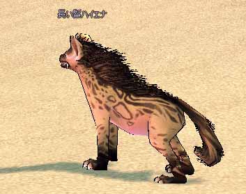 長い鬣ハイエナ
