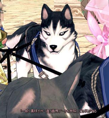 そもそも目じゃない？？？